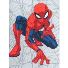   DISNEY SPIDERMAN 02 gyerek szobai szőnyeg, falvédő 80x 150cm